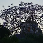 Vicolo Del Chiostro 3*
